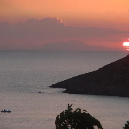 Traditional * Myrties